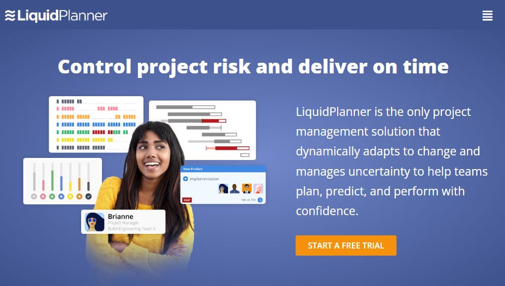 Program Management Software: LiquidPlanner