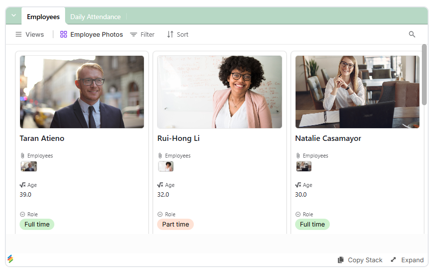 Daily Attendance Sheet Template | Stackby